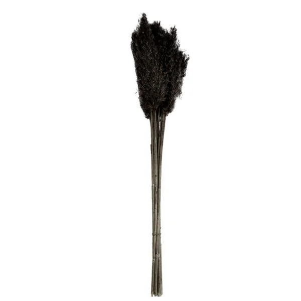 2026_05_23_730221