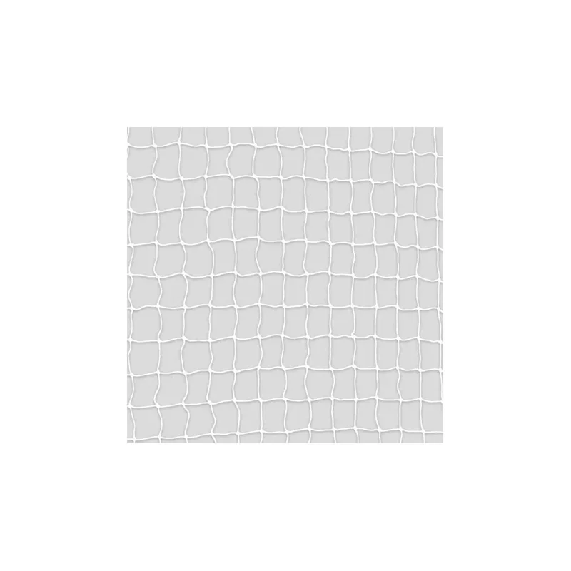 2026_05_23_805961